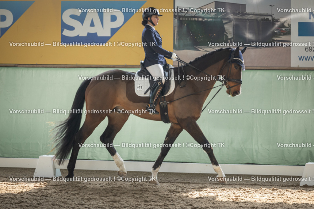 _D5A5470 | Emotionale Pferde- & People-Fotografie rund um Heidelberg, Leimen & Umgebung. Natürliche Fotos von Pferd, Mensch & Familie. Jetzt Termin sichern!