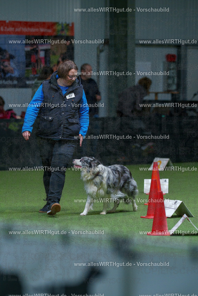 7R506318 | Professionelle Tierfotografie in Mönchengladbach von Daniel Wirth (allesWIRTHgut). Liebevolle & natürliche Bilder von Hunden & Katzen für unvergessliche Erinnerungen.