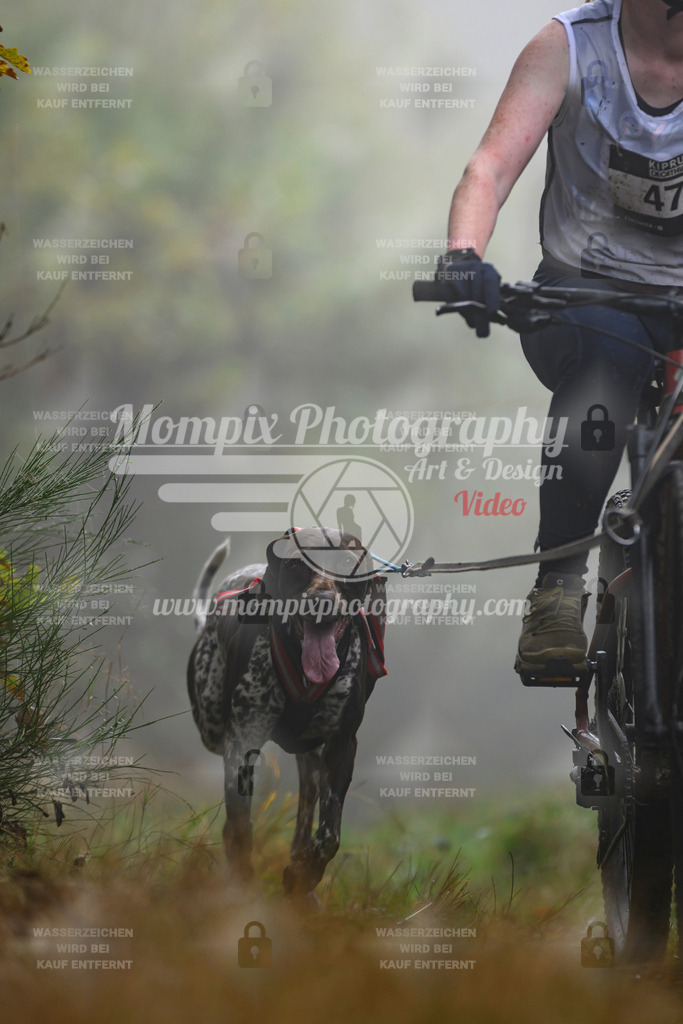 MompixPhotography_20TSB_E4_Bike-126 | PayLife