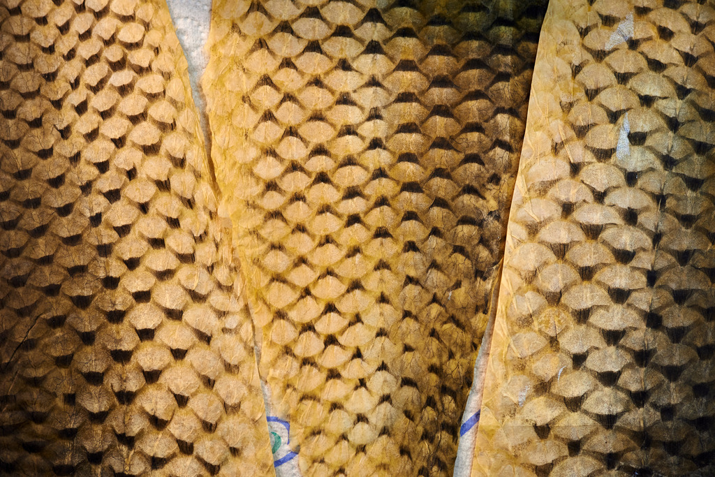 Yupitaze Fischtextil | Litschau, Austria - April 02, 2016: Yupitaze Fischtextil. - Realisiert mit Pictrs.com