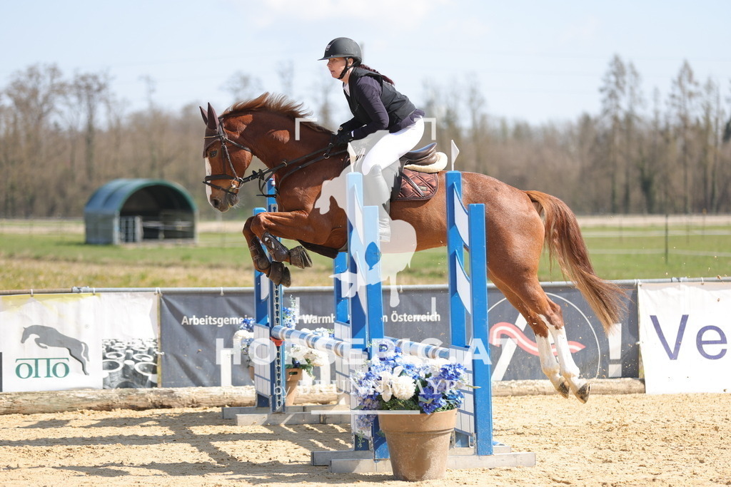 0P6A6805 | Willkommen bei Brunnmayr - Design & Fotografie – Ihrem Spezialisten für Reitturniere und Pferdeveranstaltungen in Oberösterreich, Salzburg und Bayern! Seit über 17 Jahren sind wir leidenschaftlich dabei.
