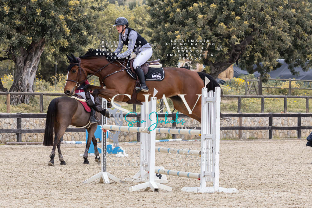 IMG_5009 | s-jay-photography - Realisiert mit Pictrs.com