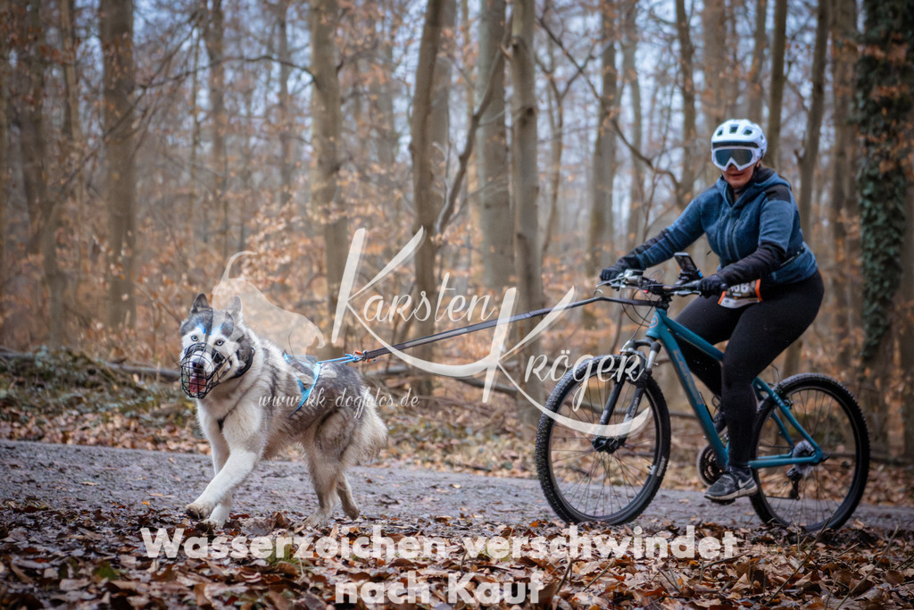 0835_ZZ94688 | kk-dogfotos