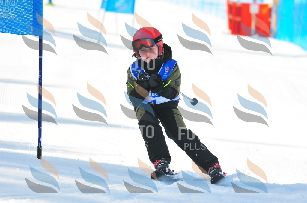 B8870 | holidayphoto