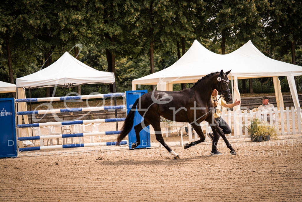 4.Fr00088 | Leoni Ertmer Photography - Realisiert mit Pictrs.com