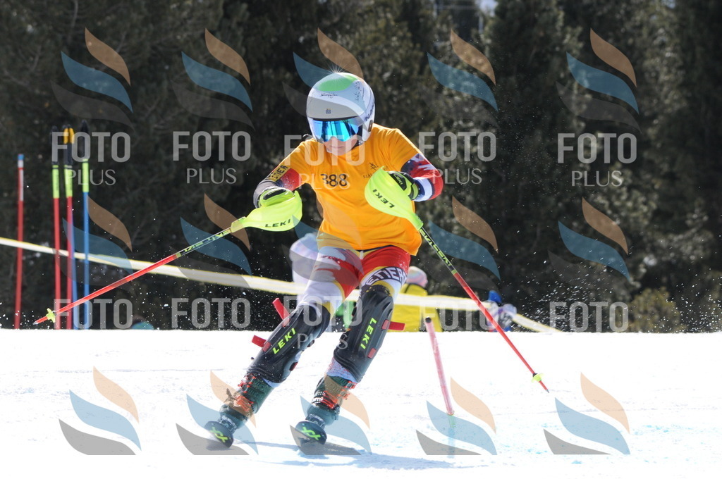 C9125 | holidayphoto