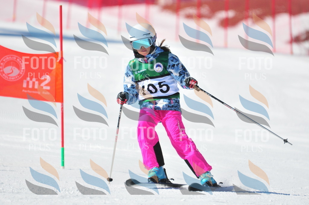 C3628 | holidayphoto