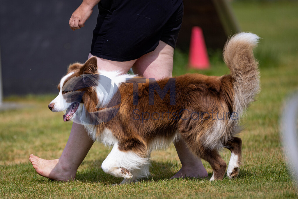 TP-20240815-0168 | Copyright: Trainproduction / Matthias Trinkl