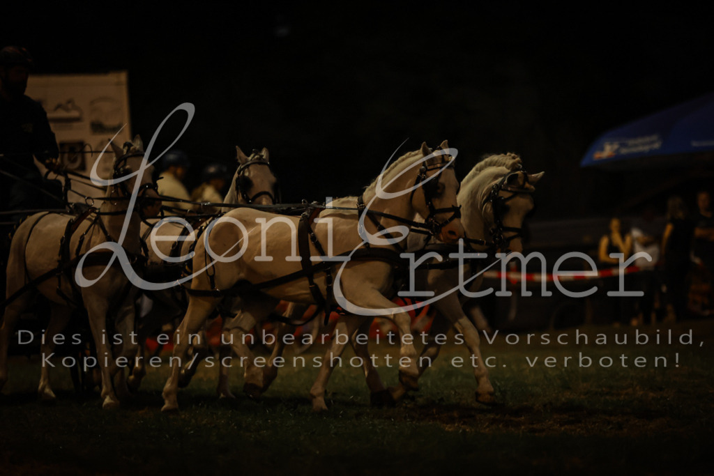 SaShow00315 | Leoni Ertmer Photography - Realisiert mit Pictrs.com