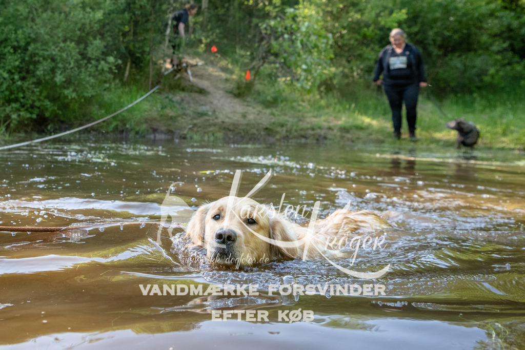 1727DKK992108 | kk-dogfotos