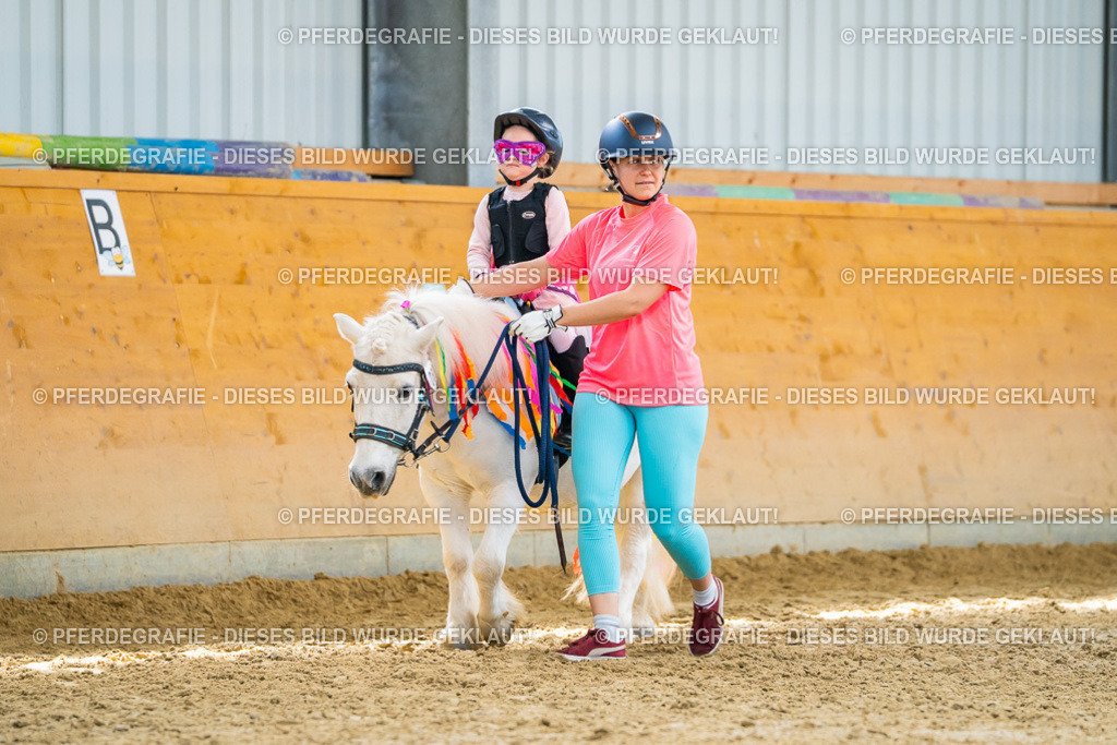 DSC00041 | Pferdegrafie