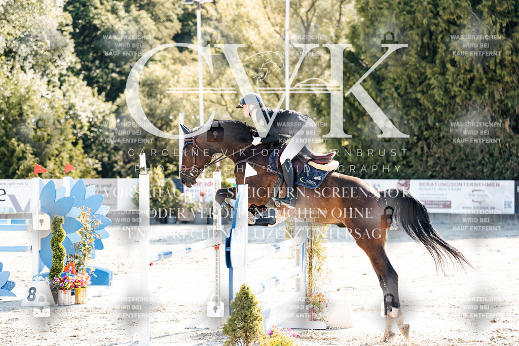 CK902147 | Turnierfotografie Pferdefotografie Trier Rheinland-Pfalz Pferdesport Reitsport Tierfotografie Sportfotografie Pferdevideo Pferdevideografie Equestrianvideography equestrianphotography  - Realisiert mit Pictrs.com