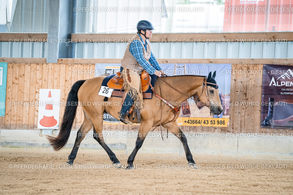 DSC08236 | Pferdegrafie