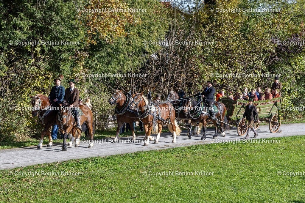 LBT24-697 | foto-bettina-krinner - Realisiert mit Pictrs.com