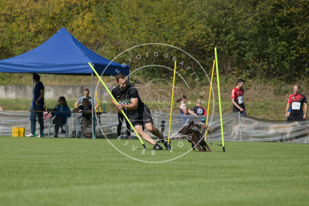 0L8A3056 | Hundefotografie, Tierfotograf, Pfotenfotografie, Fotoshooting Hund, Hunde Portrait, Hundesport, Hundeportraits, Heideshooting, Hunde, Sportfotograf, Hundefotograf, Turnierhundsport, THS,  - Realisiert mit Pictrs.com