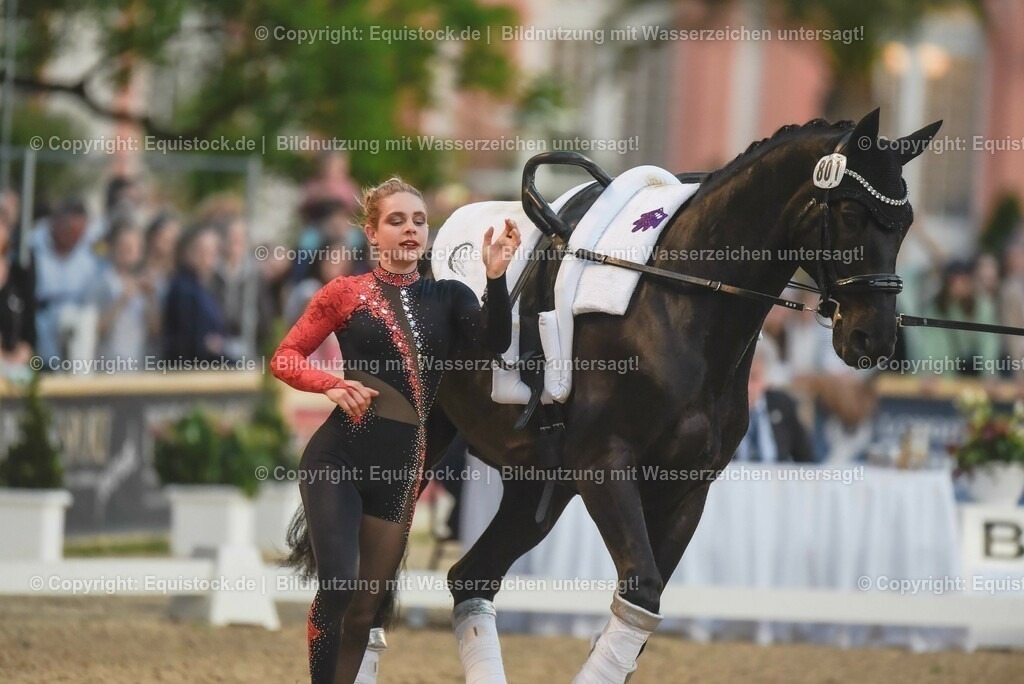 20230527_Voltigieren_NASPA_Flutlicht_0238 | equistock
