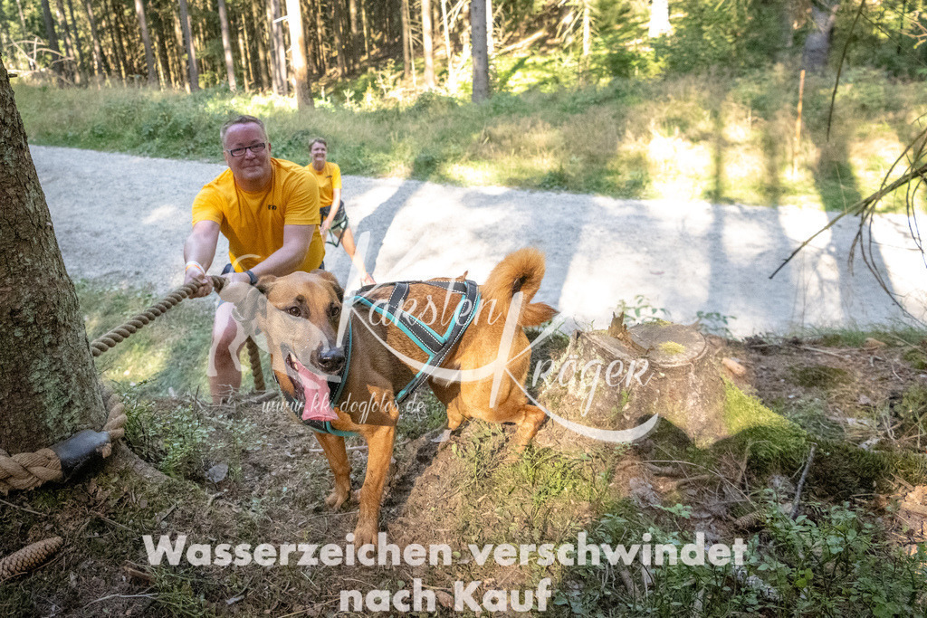 1112_ZZ90098 | kk-dogfotos