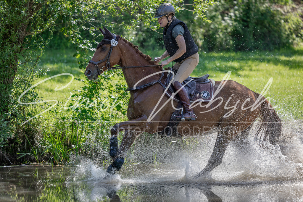 20260523-_3LI7463 | Tierfotografie Pferde, Hunde, Katzen, Haustiere.
Turnierfotografie Reitturniere, Reiten, Springreiten, Dressur in Hanau, dem Main-Kinzig-Kreis und dem Rhein-Main- Gebiet um Frankfurt