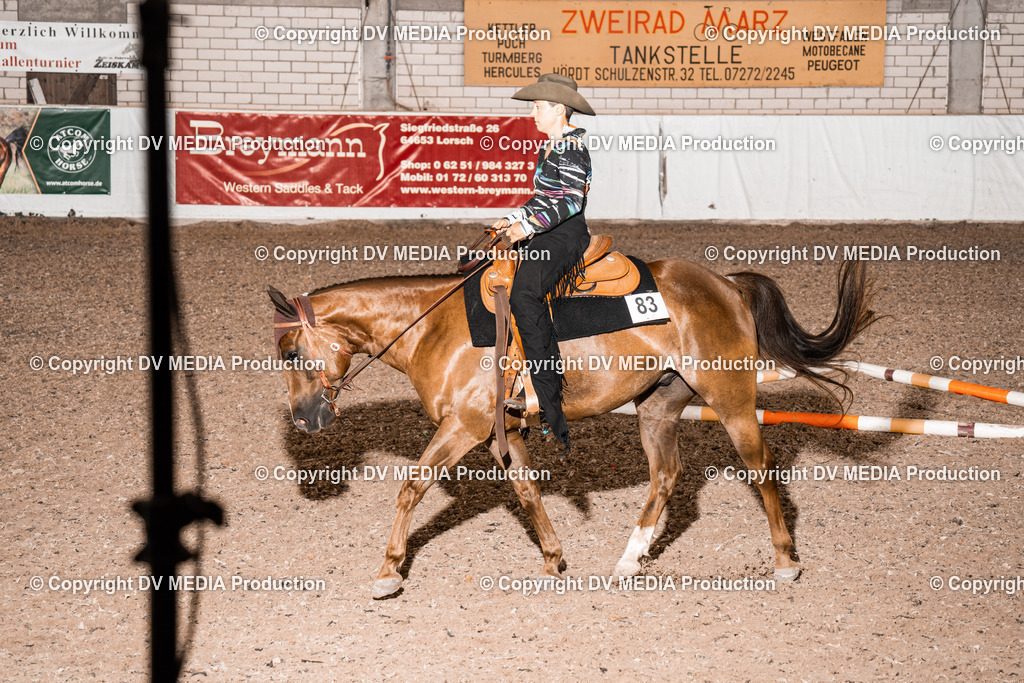 ZH200535 | dv-media-shop - Realisiert mit Pictrs.com