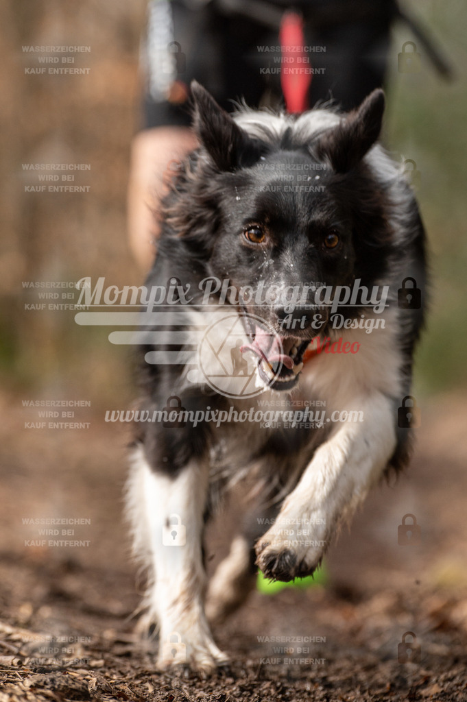 SPA_2023_DIM_Fun-29 | PayLife