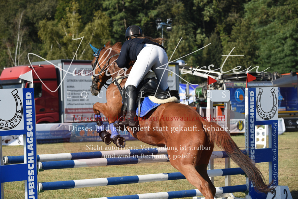 DSC_5226 | Pferde- und Turnierfotografie in Westsachsen. Pferdeportraits, Auftragszeichnungen und intuitive Kunst.