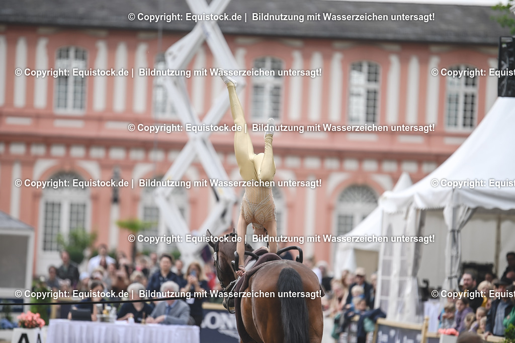 20240519_Voltige_0171 | Foto: Thomas Hartig