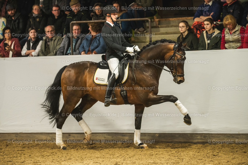 20240302_Hengstvorstellung_Marbach_TOMsPiC_1264 | equistock