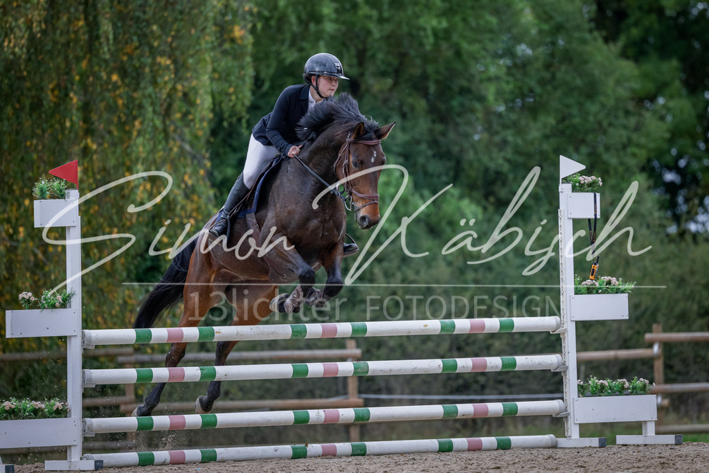 20251012-_3LI3910 | Tierfotografie Pferde, Hunde, Katzen, Haustiere.
Turnierfotografie Reitturniere, Reiten, Springreiten, Dressur in Hanau, dem Main-Kinzig-Kreis und dem Rhein-Main- Gebiet um Frankfurt
