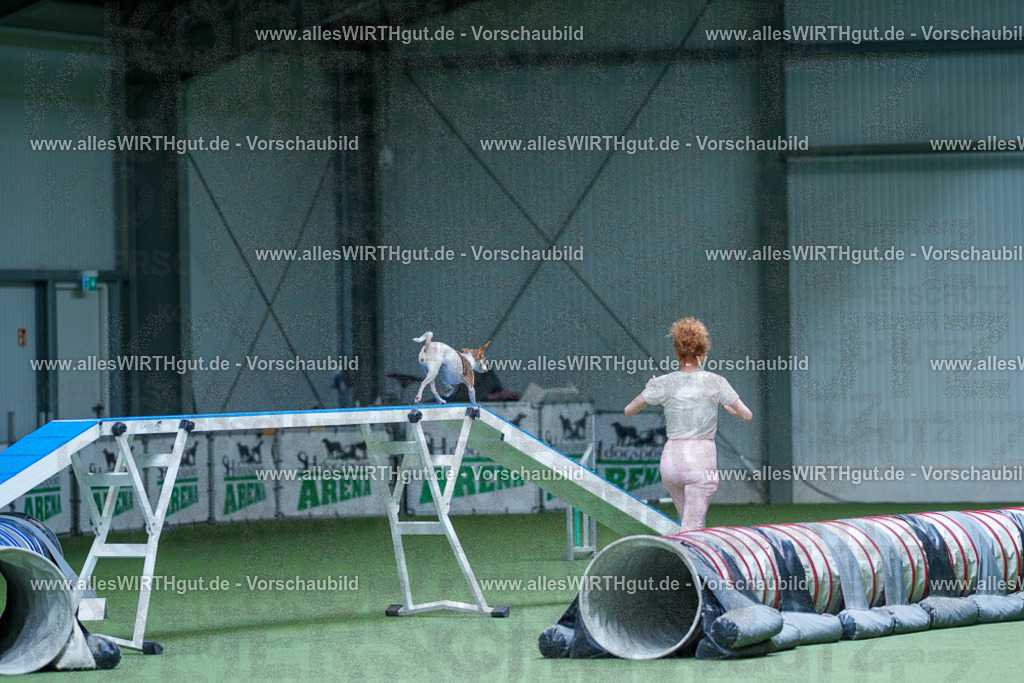 @allesWIRTHgut_Tierfotografie - www.allesWIRTHgut.de - 2604251255-7R503106 | Professionelle Tierfotografie in Mönchengladbach von Daniel Wirth (allesWIRTHgut). Liebevolle & natürliche Bilder von Hunden & Katzen für unvergessliche Erinnerungen.
