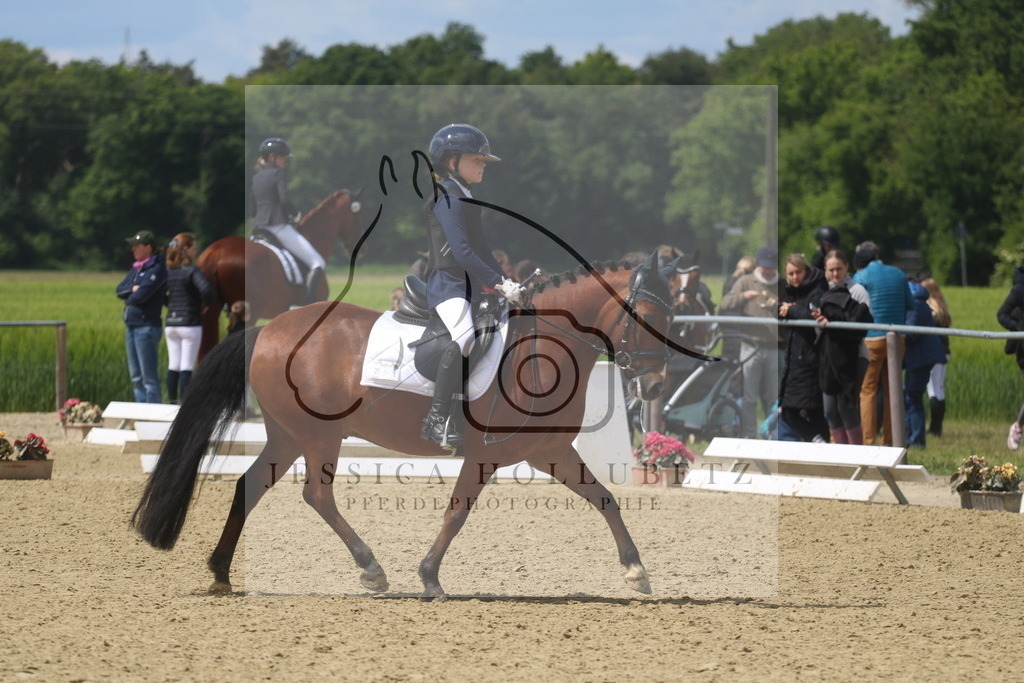 IMG_3913 | jessicahollubetz_pferdephotographie - Realisiert mit Pictrs.com