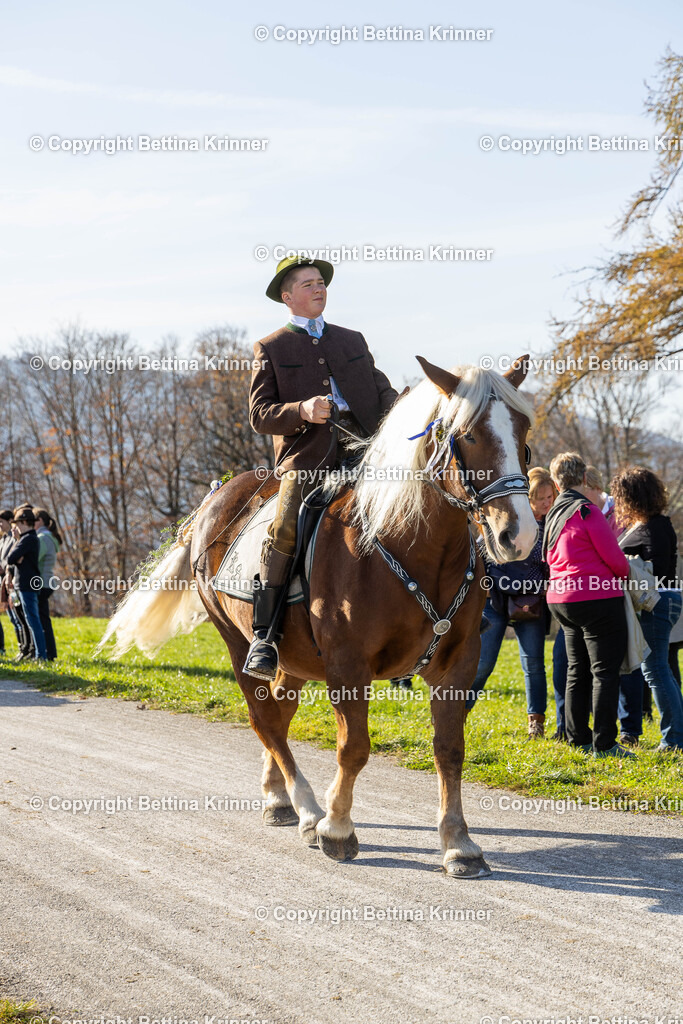 LBT24-1475 | foto-bettina-krinner - Realisiert mit Pictrs.com