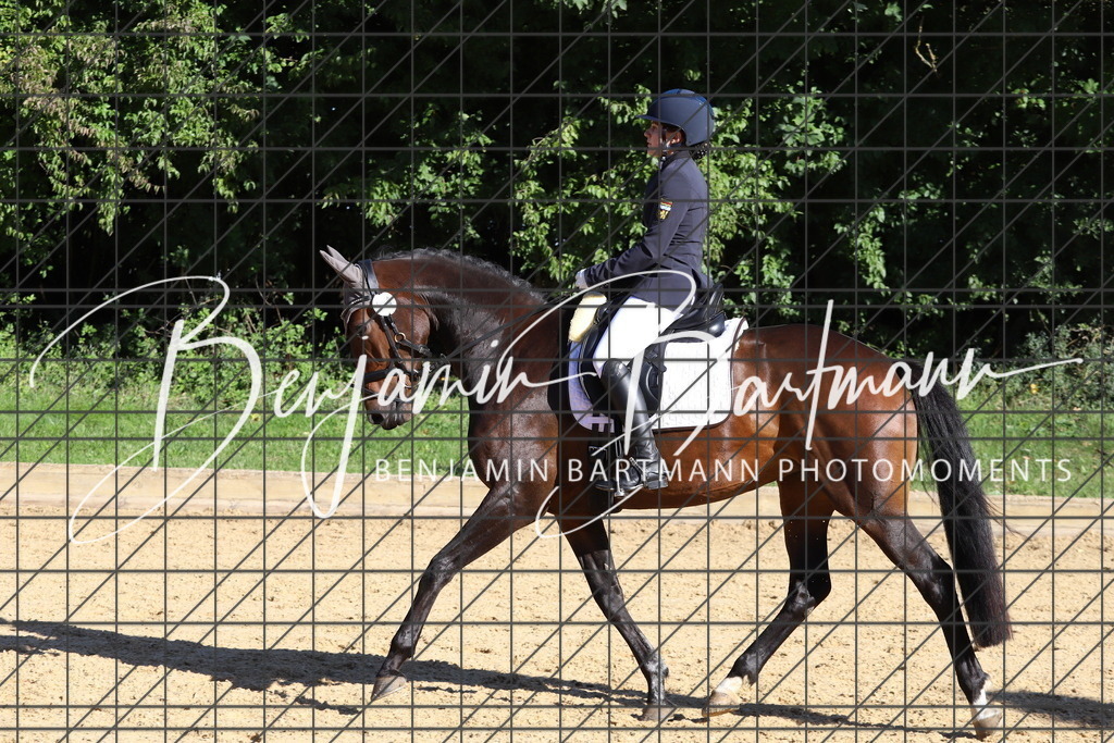 IMG_5153 | Benjamin Bartmann Photomoments