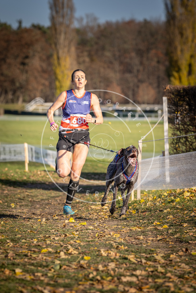 CaniXpix_DV3A1077 | Hundefotografie, Tierfotograf, Pfotenfotografie, Fotoshooting Hund, Hunde Portrait, Hundesport, Hundeportraits, Heideshooting, Hunde, Sportfotograf, Hundefotograf, Turnierhundsport, THS,  - Realisiert mit Pictrs.com