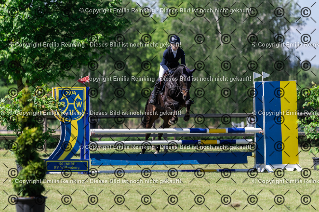 CL5A8336 | Emilia Reinking Fotografie - Realisiert mit Pictrs.com