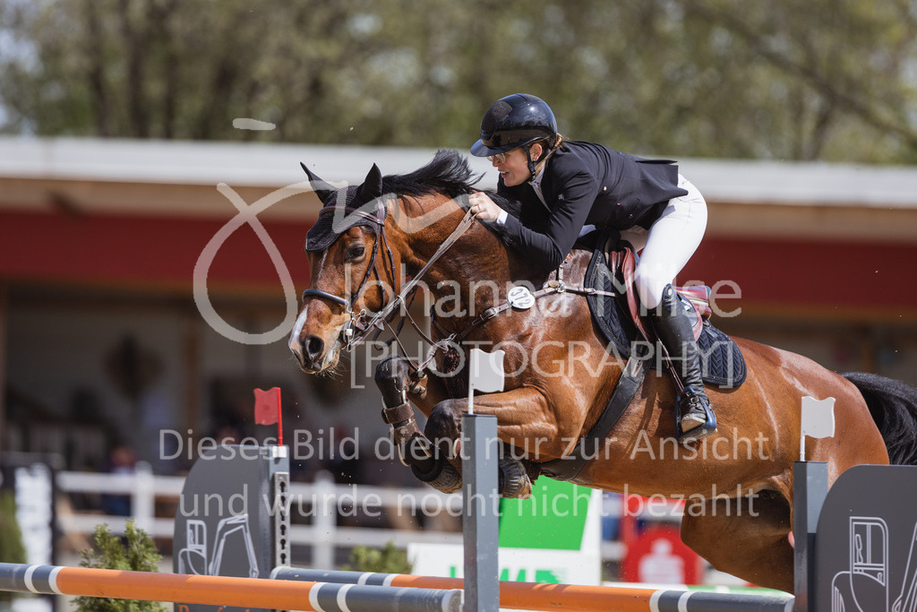 230501_SpengeW_M2St-174 | Deine schönsten Turniermomente als professionelle Fotos! Entdecke hochwertige Pferdesport-Fotografie im Online-Shop. Jetzt Fotos finden & bestellen!