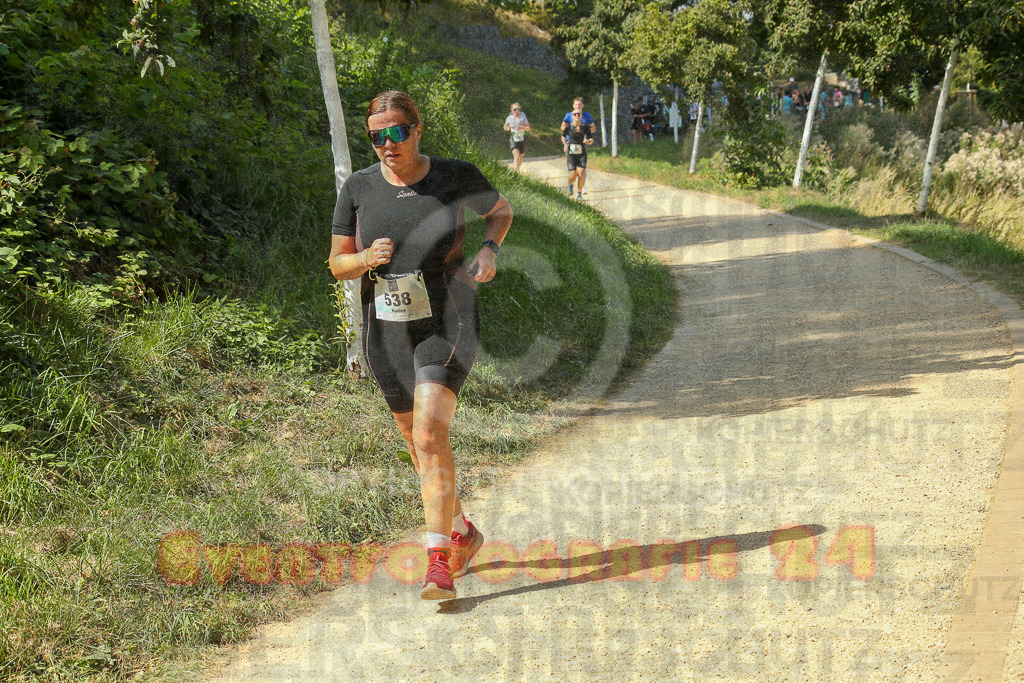 250824_1445_EX1_7399 | Sportfotografie im Rhein-Sieg Kreis, Köln, Bonn, NRW, Rheinland Pfalz, Hessen, etc. Unser Tätigkeitsfeld umfasst den Laufsport vom Volkslauf über den Marathon, Duathlon, Triathon bis zum Ultralauf wie Kölnpfad Ultra oder Schindertrail.