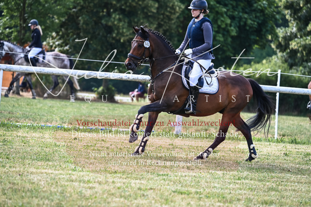 DSC_8006 | Pferde- und Turnierfotografie in Westsachsen. Pferdeportraits, Auftragszeichnungen und intuitive Kunst.