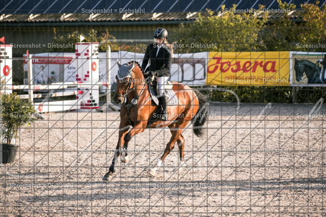 _W6A1189 | ronjaprokoschfotografie - Realisiert mit Pictrs.com