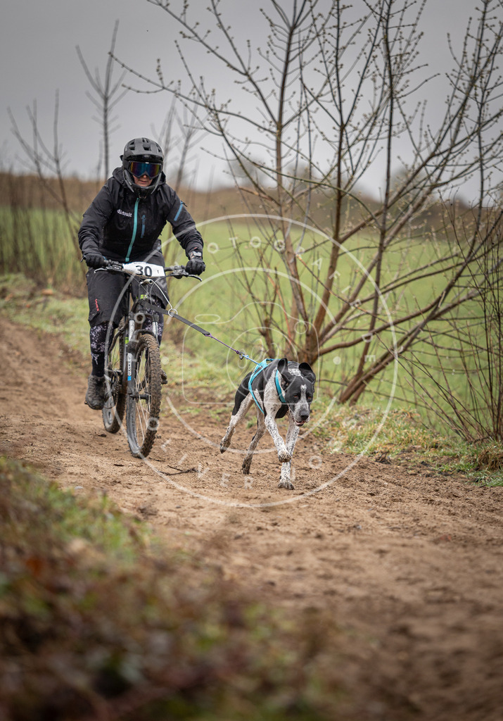 DV3A9098 | Hundefotografie, Tierfotograf, Pfotenfotografie, Fotoshooting Hund, Hunde Portrait, Hundesport, Hundeportraits, Heideshooting, Hunde, Sportfotograf, Hundefotograf, Turnierhundsport, THS,  - Realisiert mit Pictrs.com