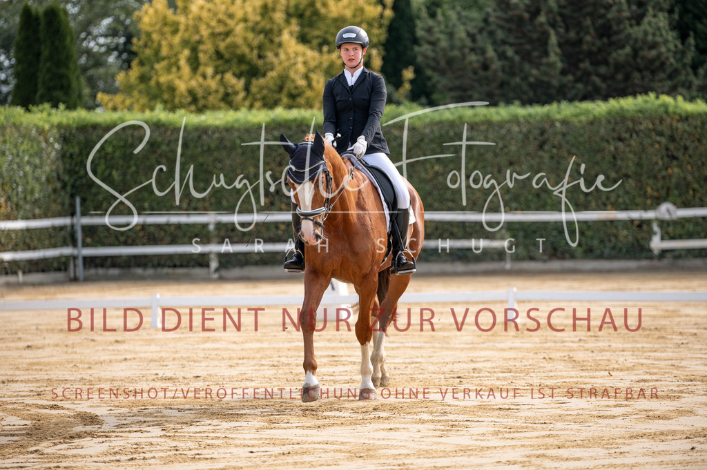 Schugtsche-Aluta25-40.DressurprfA_-16 | Schugtsche Fotografie - Realisiert mit Pictrs.com