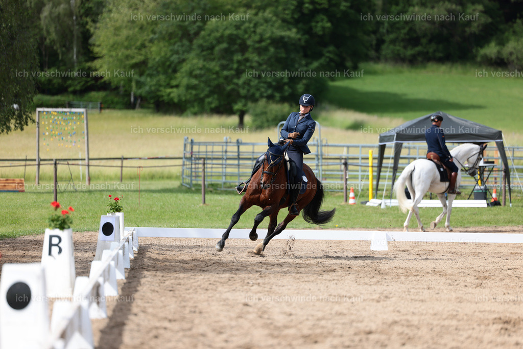 Masterclass_stoibphotography_C2_L4902.JPG | working equitationturnier fotograf videograf stoibphotography marixx film working equitation deutschland reitsport turnierfotografie eventfotografie equestrian events