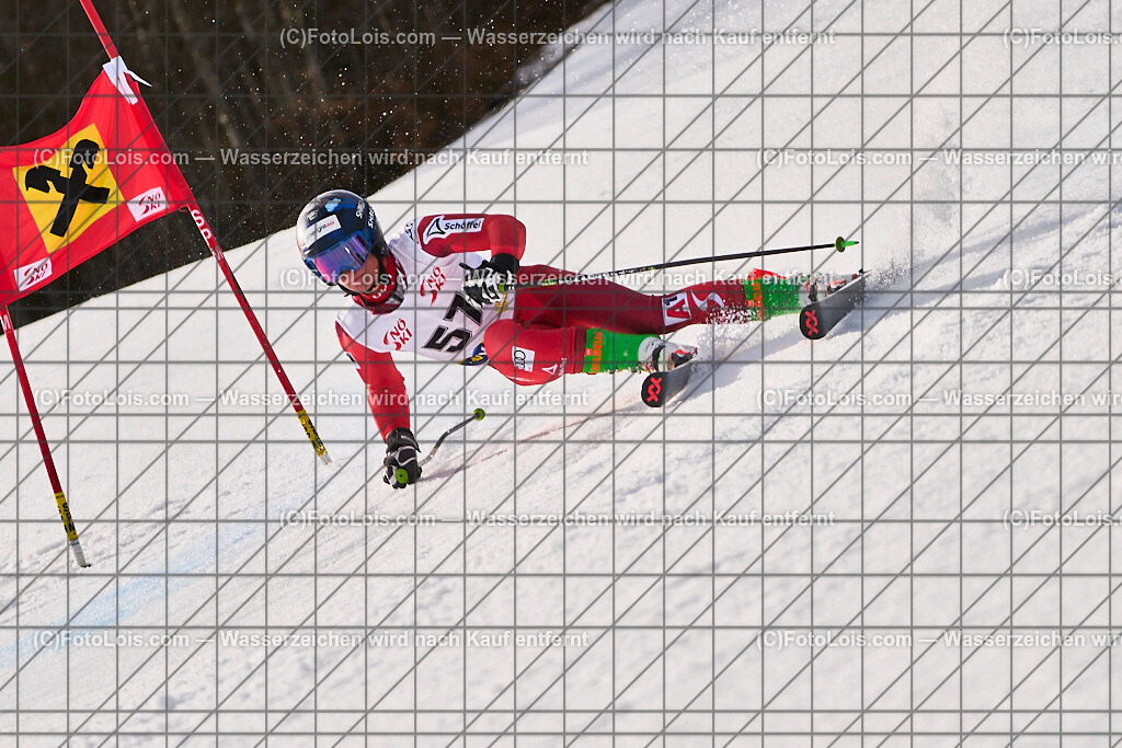 ALP8837_Herrn-FIS-GS-II_Lackenhof-WY_STEINKELLNER Jonas | Internationaler FIS GiantSlalom der Herrn auf der Distelpiste in Lackenhof am Di 11. März 2025.  Österreich, LSV-NÖ, Sportunion Waidhofen/Ybbs (2035).