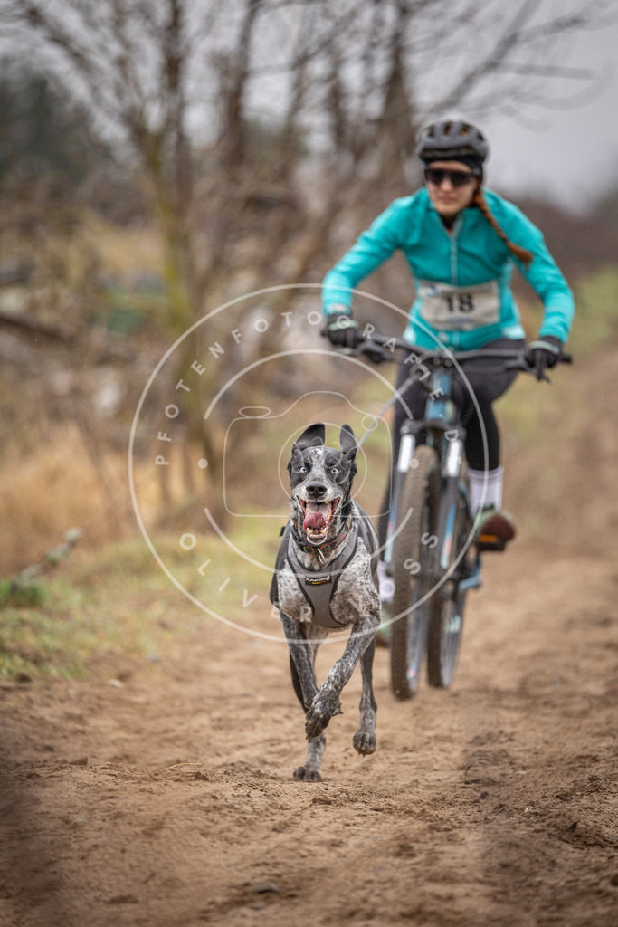 DV3A9009 | Hundefotografie, Tierfotograf, Pfotenfotografie, Fotoshooting Hund, Hunde Portrait, Hundesport, Hundeportraits, Heideshooting, Hunde, Sportfotograf, Hundefotograf, Turnierhundsport, THS,  - Realisiert mit Pictrs.com