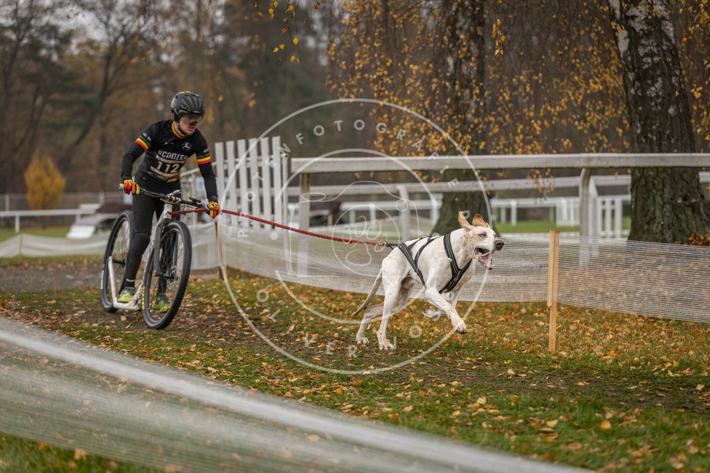 CaniXpix_DV3A7648 | Hundefotografie, Tierfotograf, Pfotenfotografie, Fotoshooting Hund, Hunde Portrait, Hundesport, Hundeportraits, Heideshooting, Hunde, Sportfotograf, Hundefotograf, Turnierhundsport, THS,  - Realisiert mit Pictrs.com