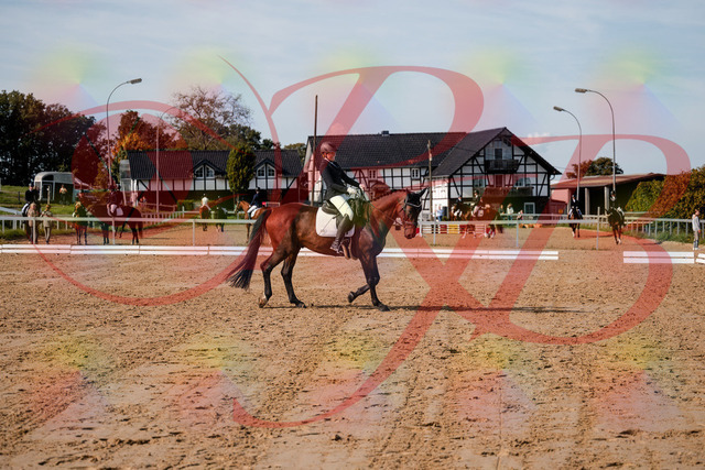 2026_10_03_Siefer-Hof_123045_Z63_51657421 | Professionelle Reitsport-, Turnier- und Eventfotografie von Robert Broda. Galerien mit ausgewählten und bearbeiteten Bildern direkt online ansehen und bestellen.