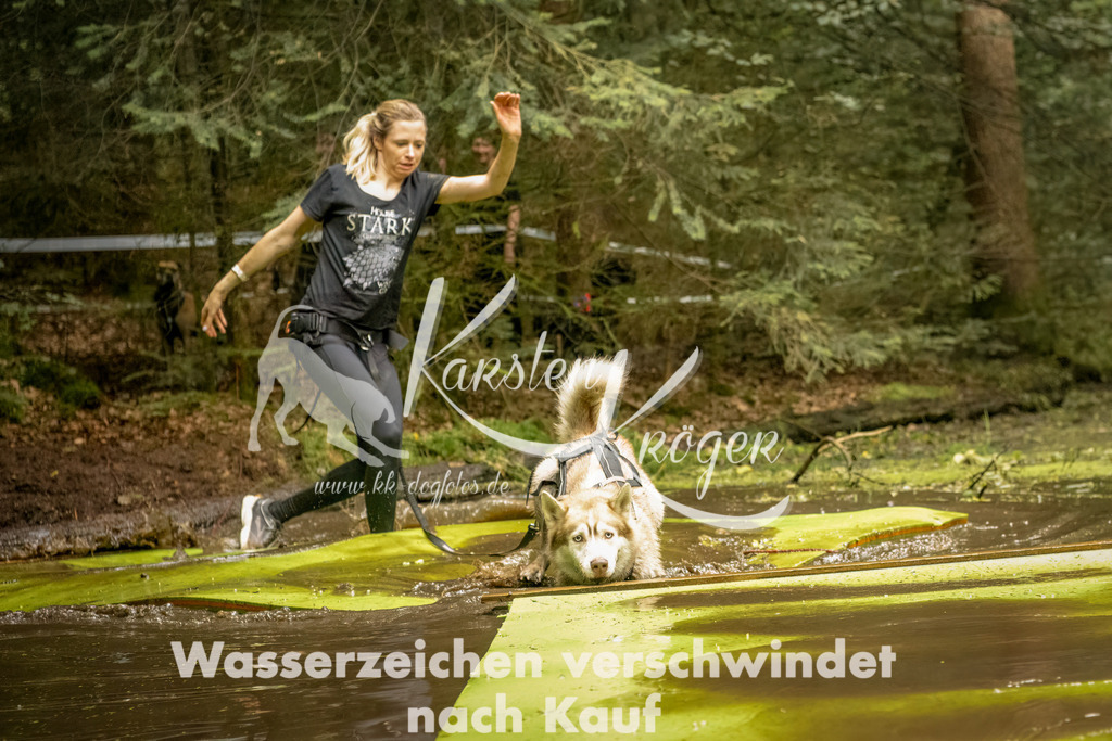 1424_ZZ92234-Bearbeitet | kk-dogfotos
