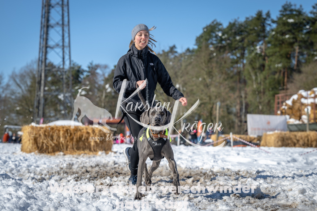 1154_ZZ91590-4 | kk-dogfotos