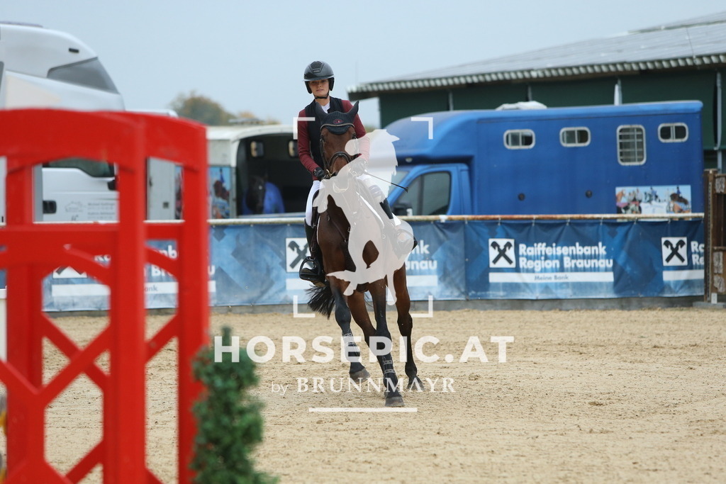 DL2Q4197 | Willkommen bei Brunnmayr - Design & Fotografie – Ihrem Spezialisten für Reitturniere und Pferdeveranstaltungen in Oberösterreich, Salzburg und Bayern! Seit über 17 Jahren sind wir leidenschaftlich dabei.