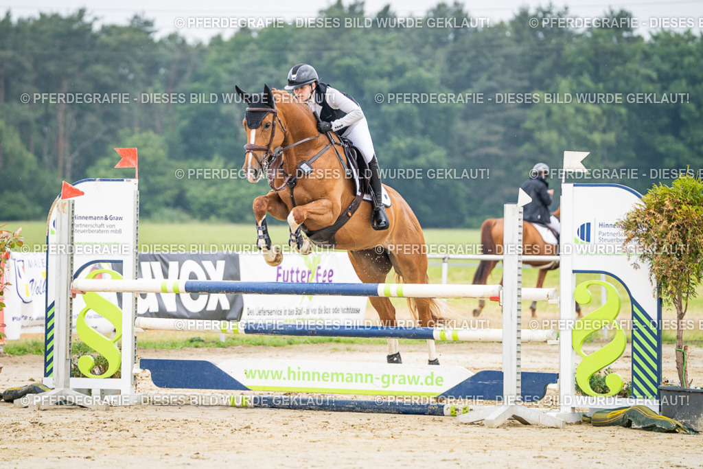 DSC09592 | Pferdegrafie