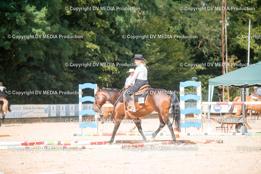 EWP_6831 | dv-media-shop - Realisiert mit Pictrs.com